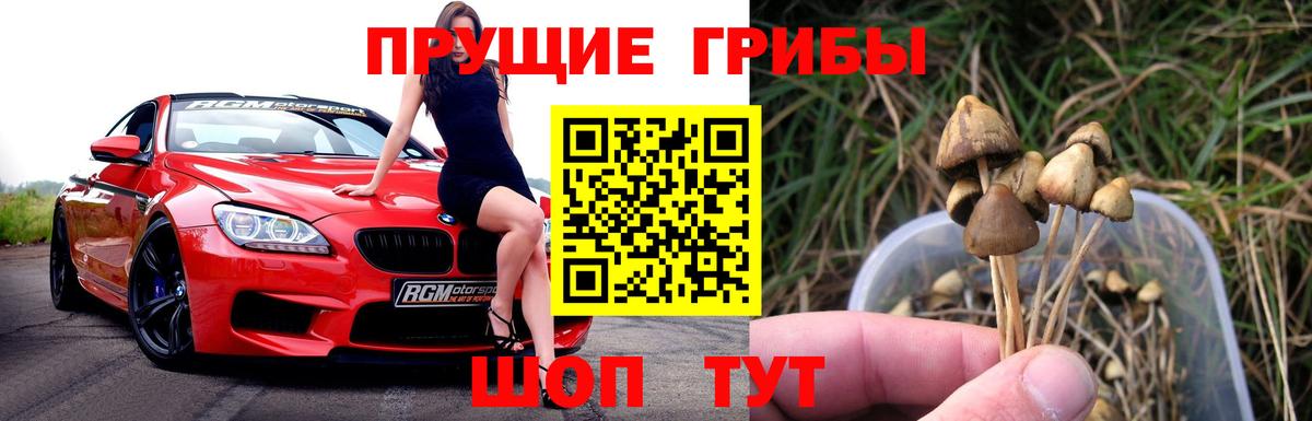 Псилоцибиновые грибы Psilocybine cubensis  где найти   Севастополь  Вход с VPN  Галлюциногенные грибы Psilocybe 